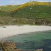 Playa de Arnado
